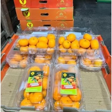 

Buah Jeruk Santang Madu YujiPack Jual Per 1 Dus