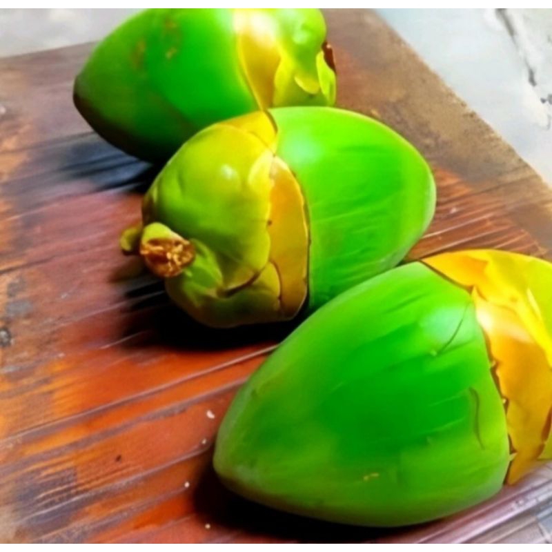 

beluluk buah kelapa kecil tembuluk/10biji