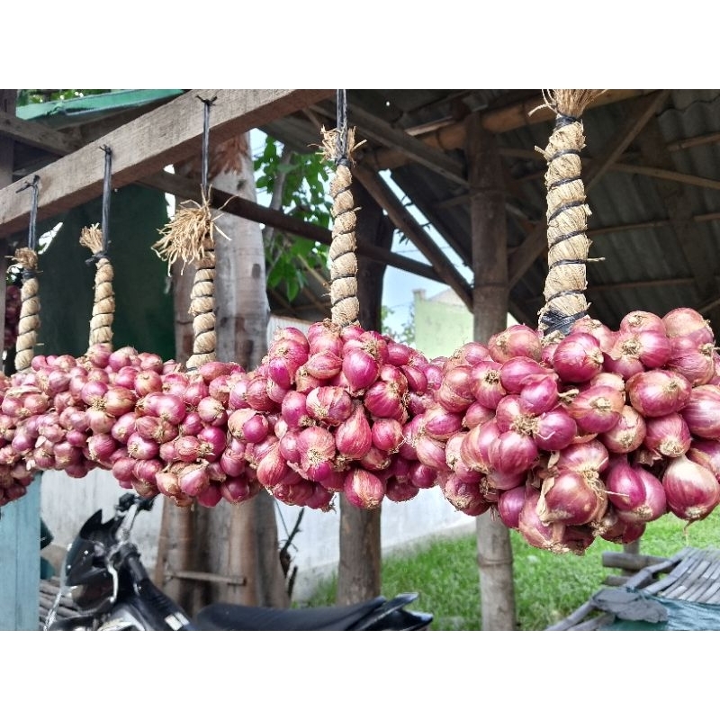 

Bawang merah Probolinggo gantung 1kg tanggung besar