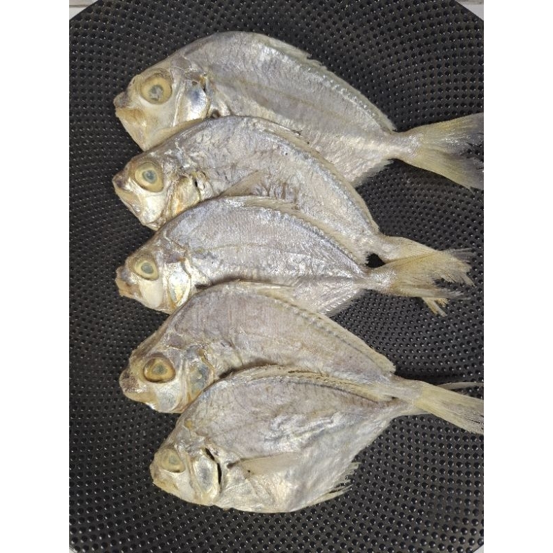 

ikan asin petek super 250gr