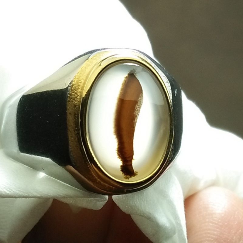 Batu Kristal Gambar G*L0k - Dendrite Crystal Chalcedony. Bukan Batu Bacan Doko Bacan Totol Bacan Cok