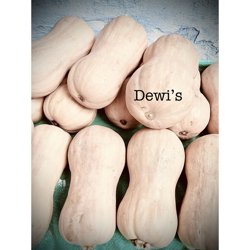 

LABU MADU / BUTTERNUT PUMKIN / TERMURAH