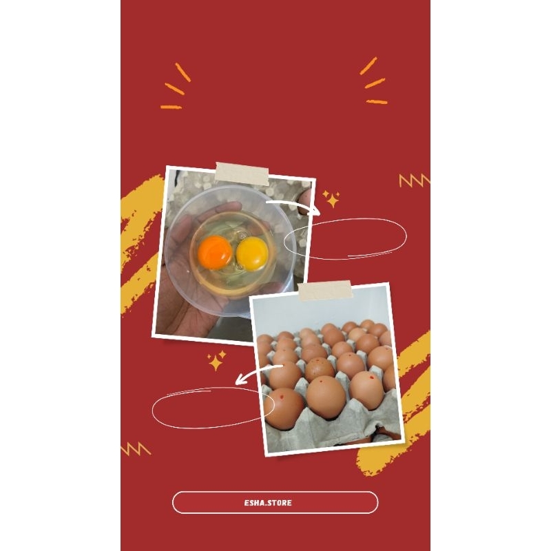 

TELUR OMEGA (OREN)