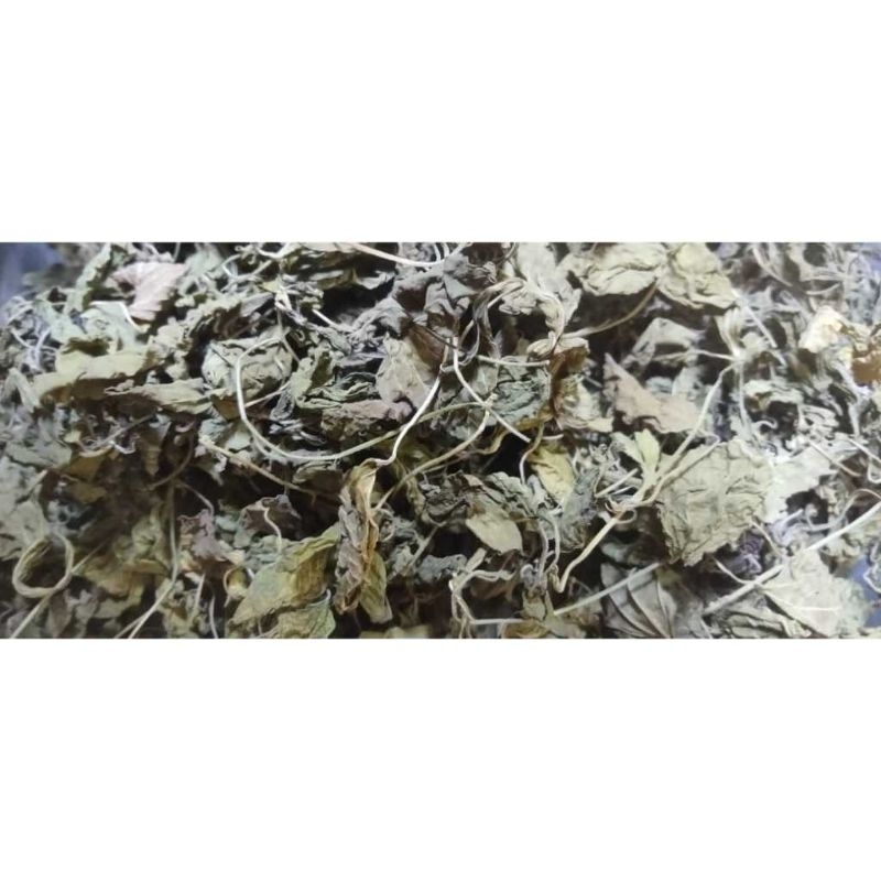 

daun anting anting kering 1 kg