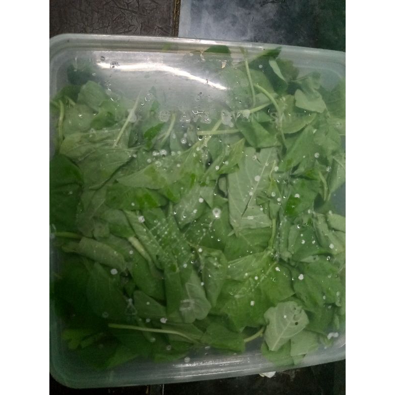 

Sayuran fresh tinggal cemplung-cemplung