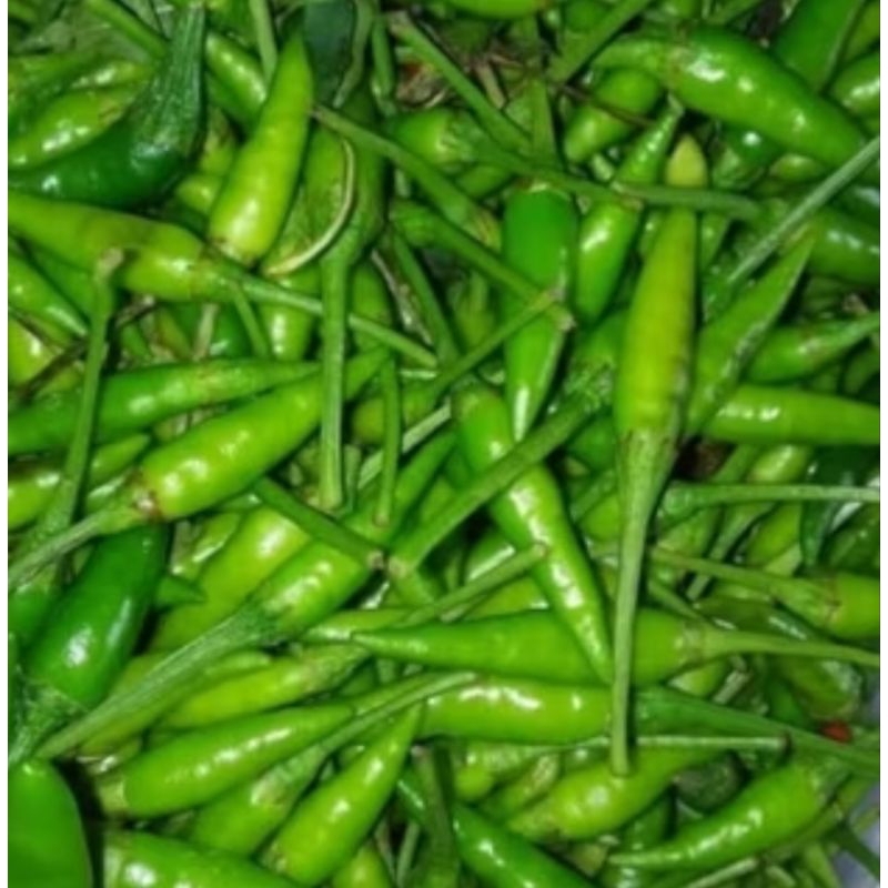 

cabe rawit hijau 100 gr