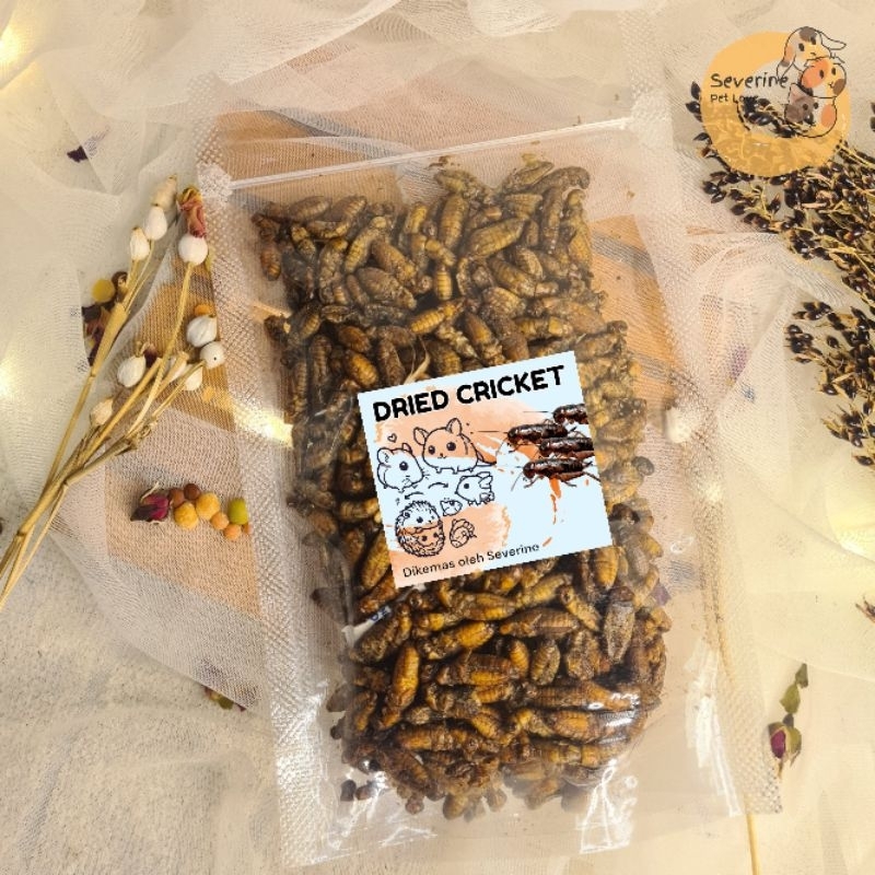 50gr jangkrik kering dried Cricket | pakan chana louhan koi snack hamster pakan landak mini sugar gl