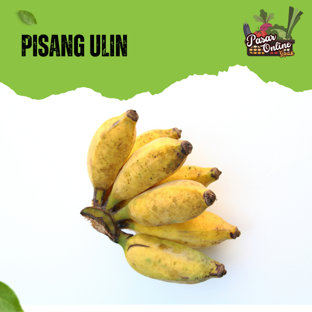 

PISANG ULIN - 1 SISIR