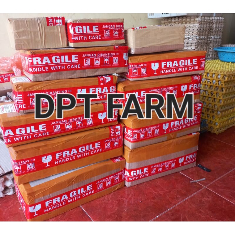 

PAKET 50 BUTIR TELUR PUYUH TETAS FINAL STOCK( BIBIT UNGGUL)