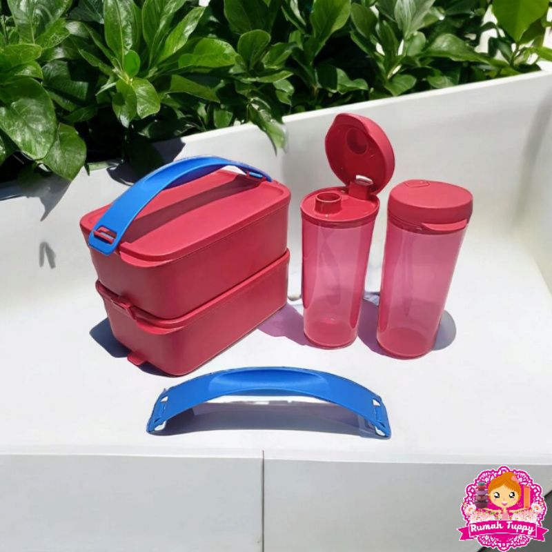 Wadah Tempat Bekal Makanan Rantang 2 Susun Click To Go Deep Tupperware Tuppy Murah