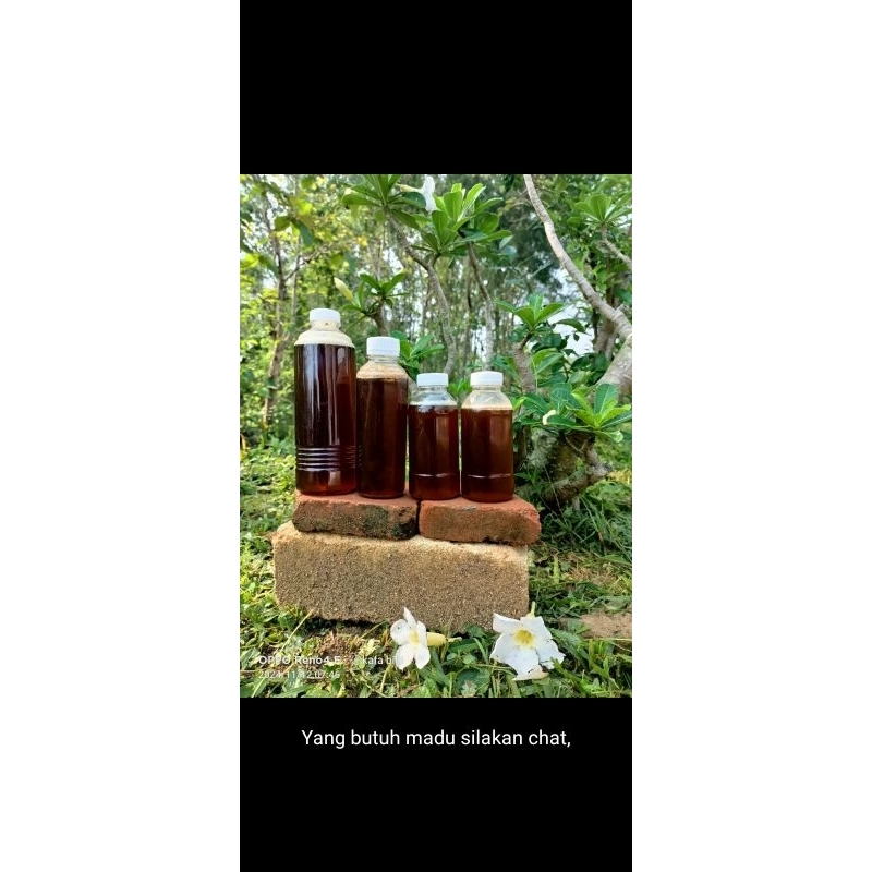 

madu hutan/ liar asli non campur 100%