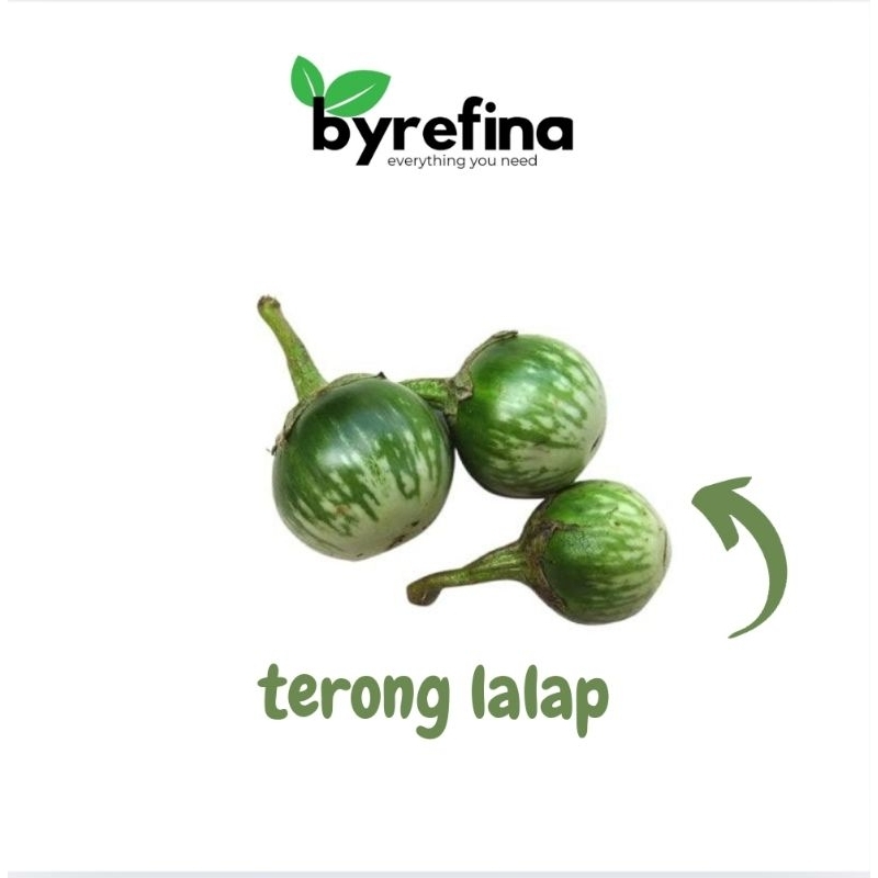 

Terong Lalap Hijau Terong Bulat 250gr - 1kg Surabaya / Byrefina