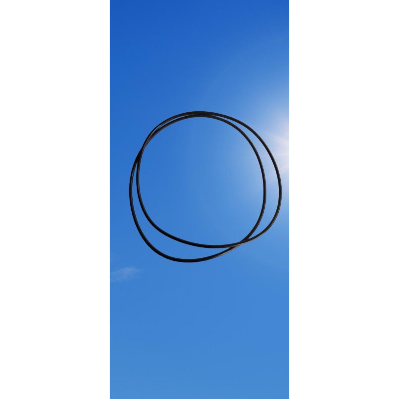 karet oring liner mesin Diesel 495D isi 2pc