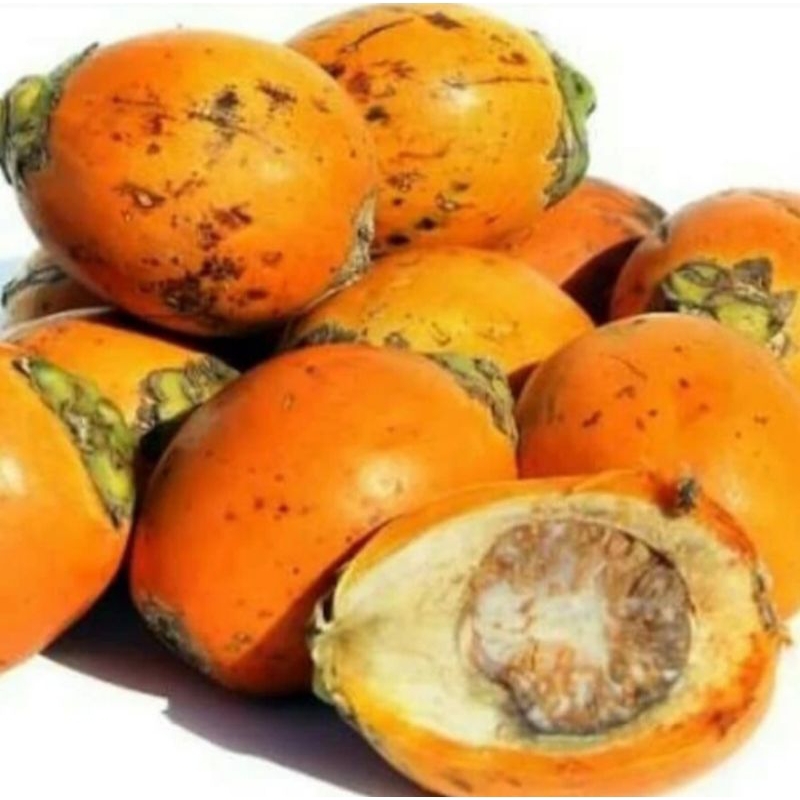 

BUAH PINANG TUA 1KG