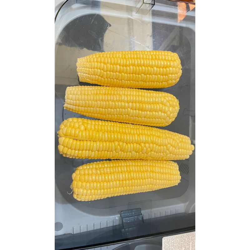 

Jagung Madu