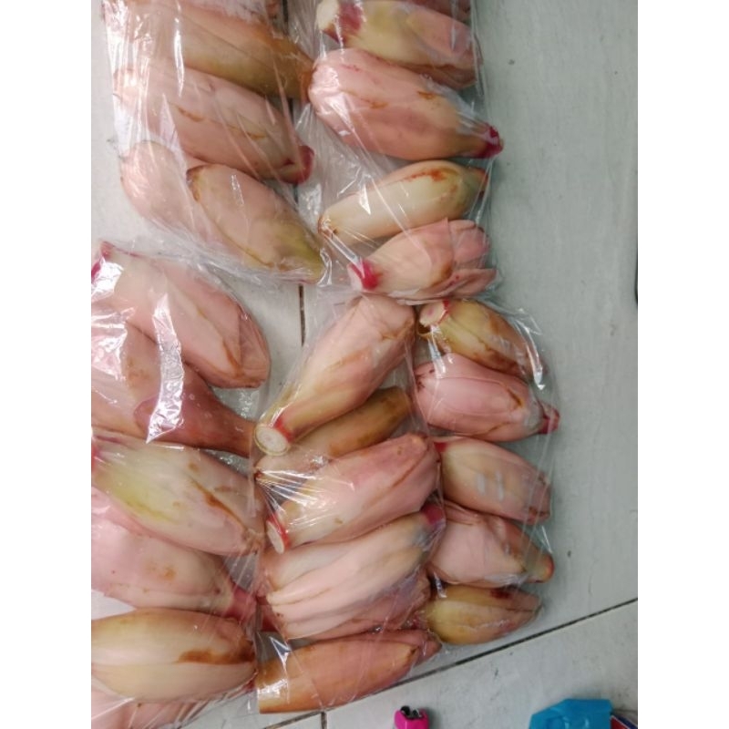 

kecombrang /kincung 1000 gram batang pendek