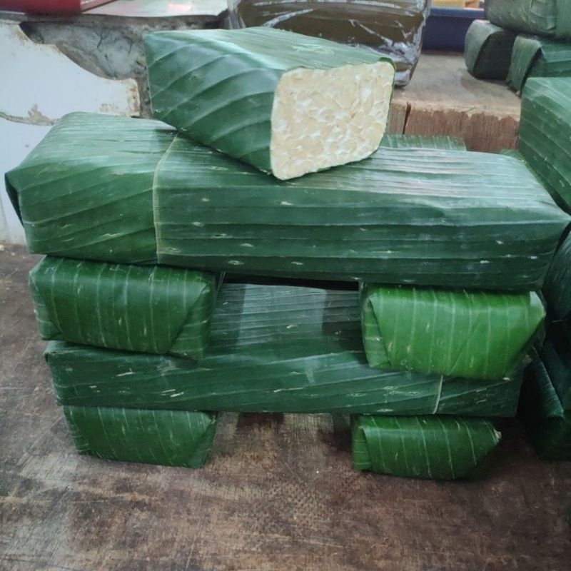

Tempe daun panjang