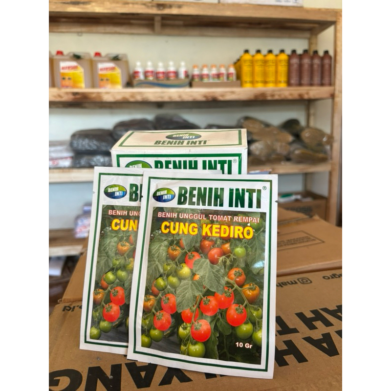 BENIH TOMAT RAMPAI CUNG KEDIRO (10gr) - Bibit / benih tanaman Tomat  Rampai Unggul.