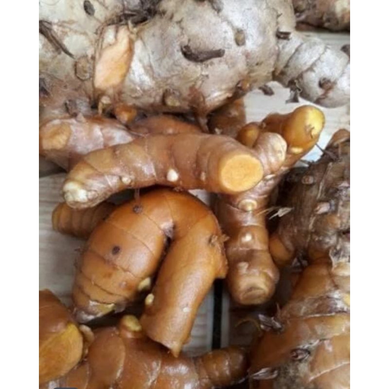 

terlaris temulawak/koneng gede/kunyit/temulawak segar 1 kg