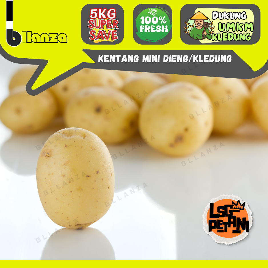 Bllanza | Kentang Kecil Dieng — GROSIR Baby Potatoes Lsg Petani (C)