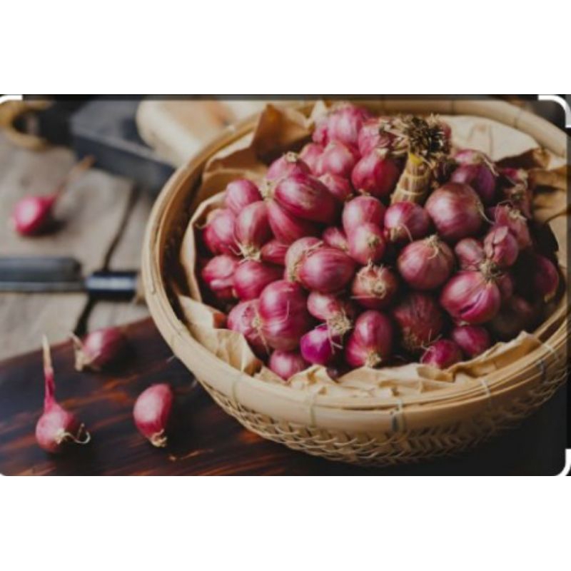 

Bawang Merah