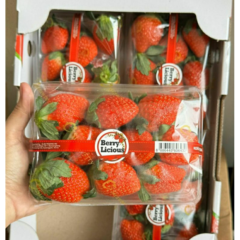 

strawberry korea berry licious/pack