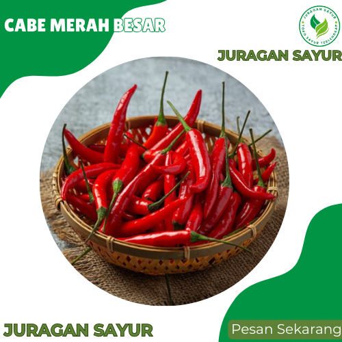 

Cabe Merah Besar 1kg-Sayur Cabe Merah Besar Premium - Juragan Sayur