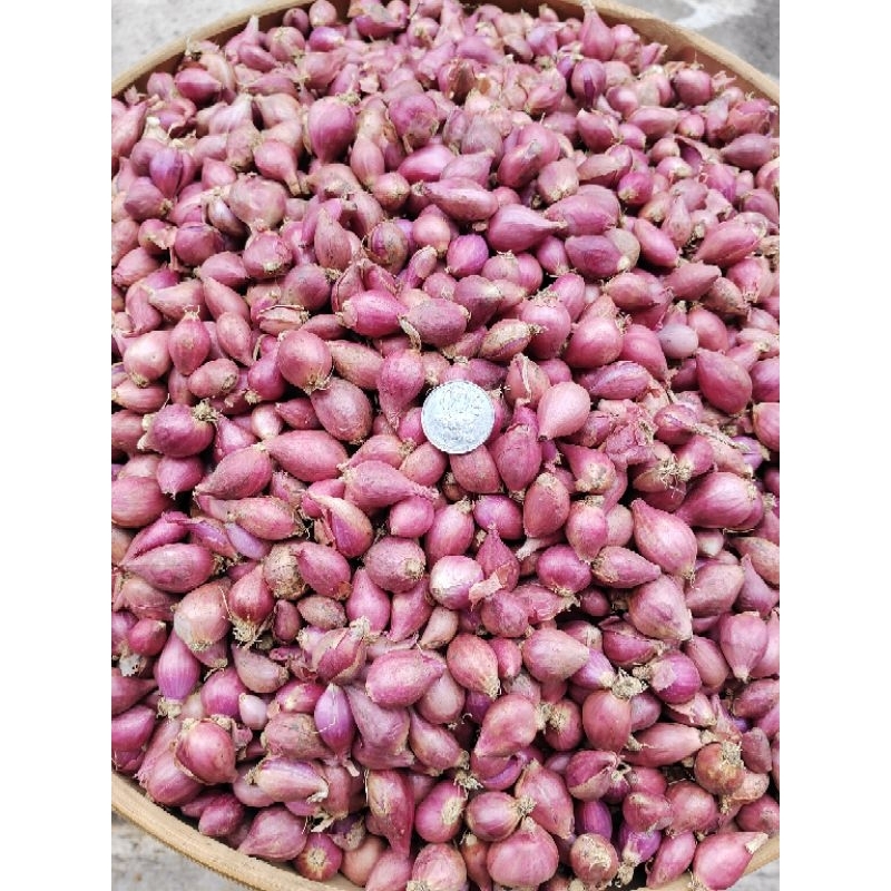 

(1000gr) bawang merah murah ukuran kecil tanggung campur