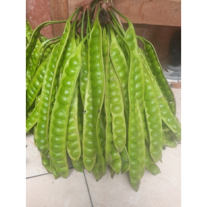 

Pete Pendek 10 papan