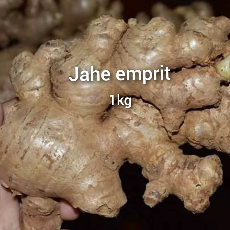 

jahe emprit segar cuci bersih 1 kg