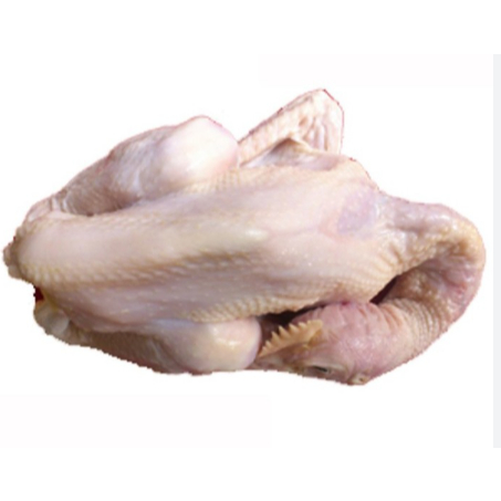 

SayurHD Ayam Pejantan Blaster Kalasan Frozen