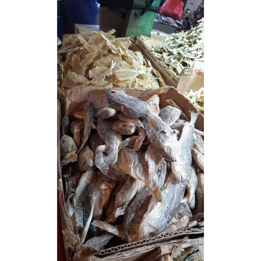 

IKAN ASIN KEPALA BATU 1KG