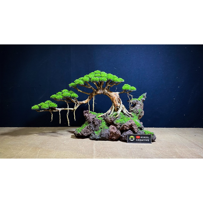 BONSAI AQUASCAPE tank 40-60 cm model doyong