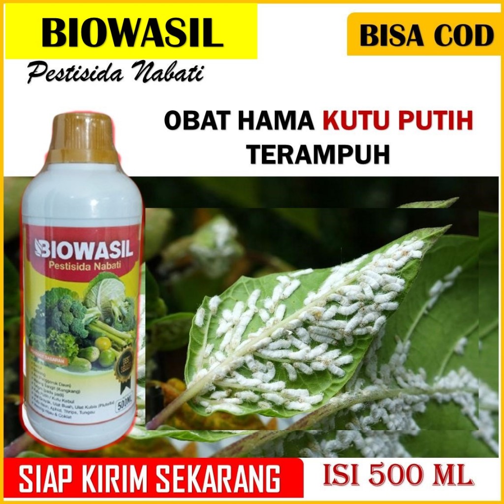 PESTISIDA NABATI BIOWASIL 500  ML obat hama kutu putih paling ampuh - obat pembasmi hama kutu putih 