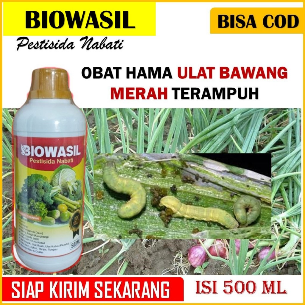 (PROMO MURAH) PESTISIDA NABATI BIOWASIL 500  ML  obat hama ulat bawang merah terbaik - obat ulat gra