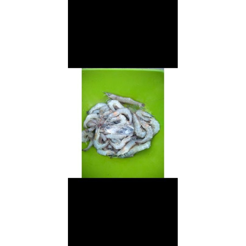 

udang basah kecil 250gr