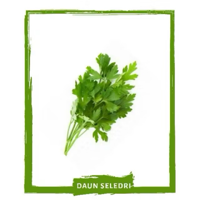 

Daun Seledri / Sayur Segar By Sayur Mallah