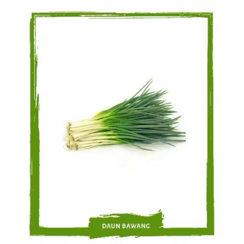 

Daun Bawang / Sayur Segar By Sayur Mallah