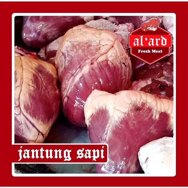 

JANTUNG SAPI