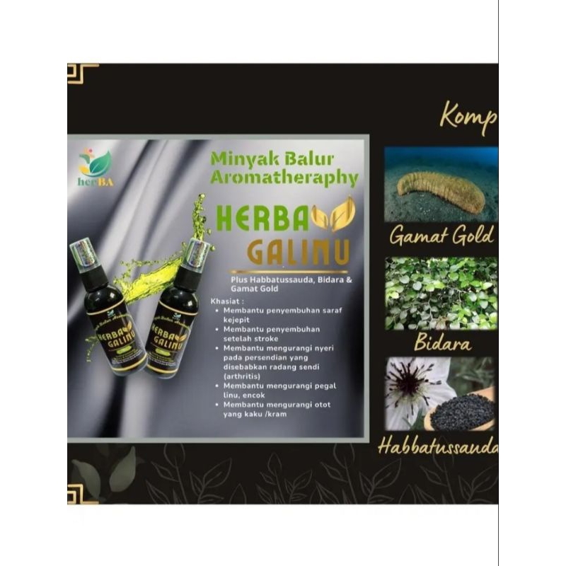 Herba Galinu Minyak Balur Aromatherapy Gamat Gold