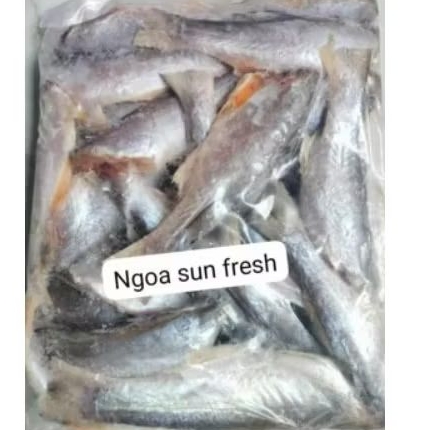 

ikan senangin kecil 1Kg