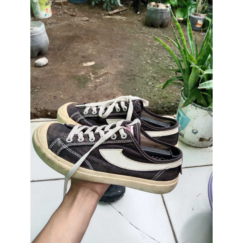 compass gazelle