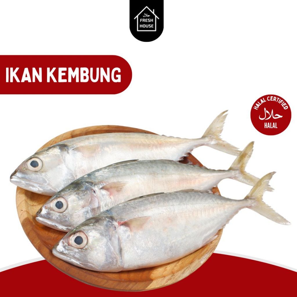 

IKAN KEMBUNG BANJAR KUALITAS PREMIUM 300GR