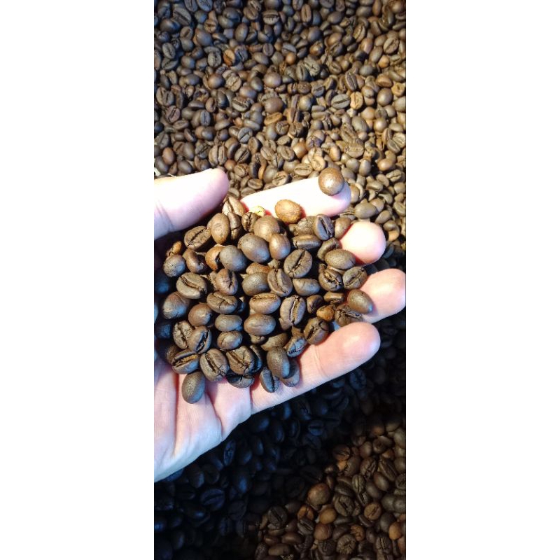 

MD COFFEE ROBUSTA PREMIUM ASLI LAMPUNG 500gram