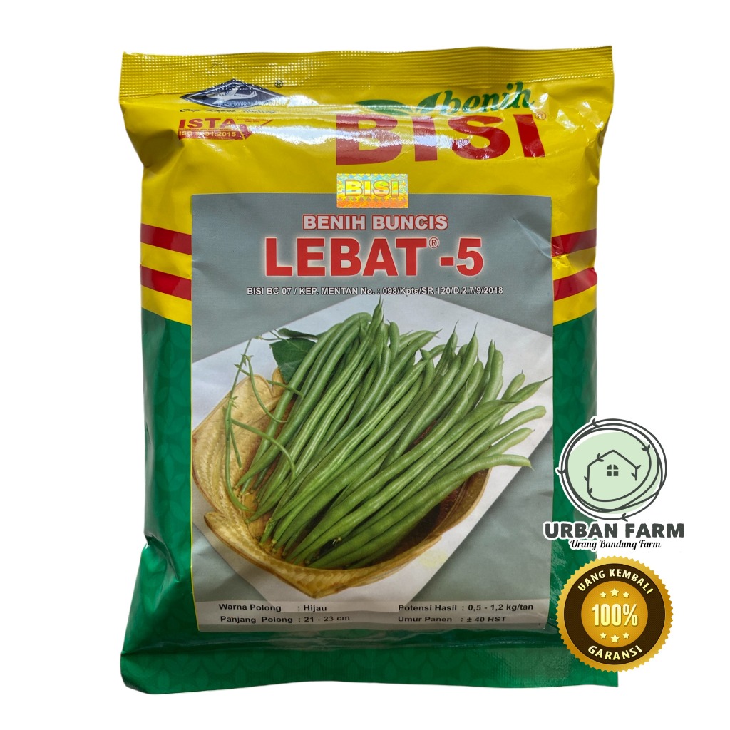 Benih Buncis LEBAT 5 500gram - Benih Buncis LEBAT 5 BISI Cap Kapal Terbang