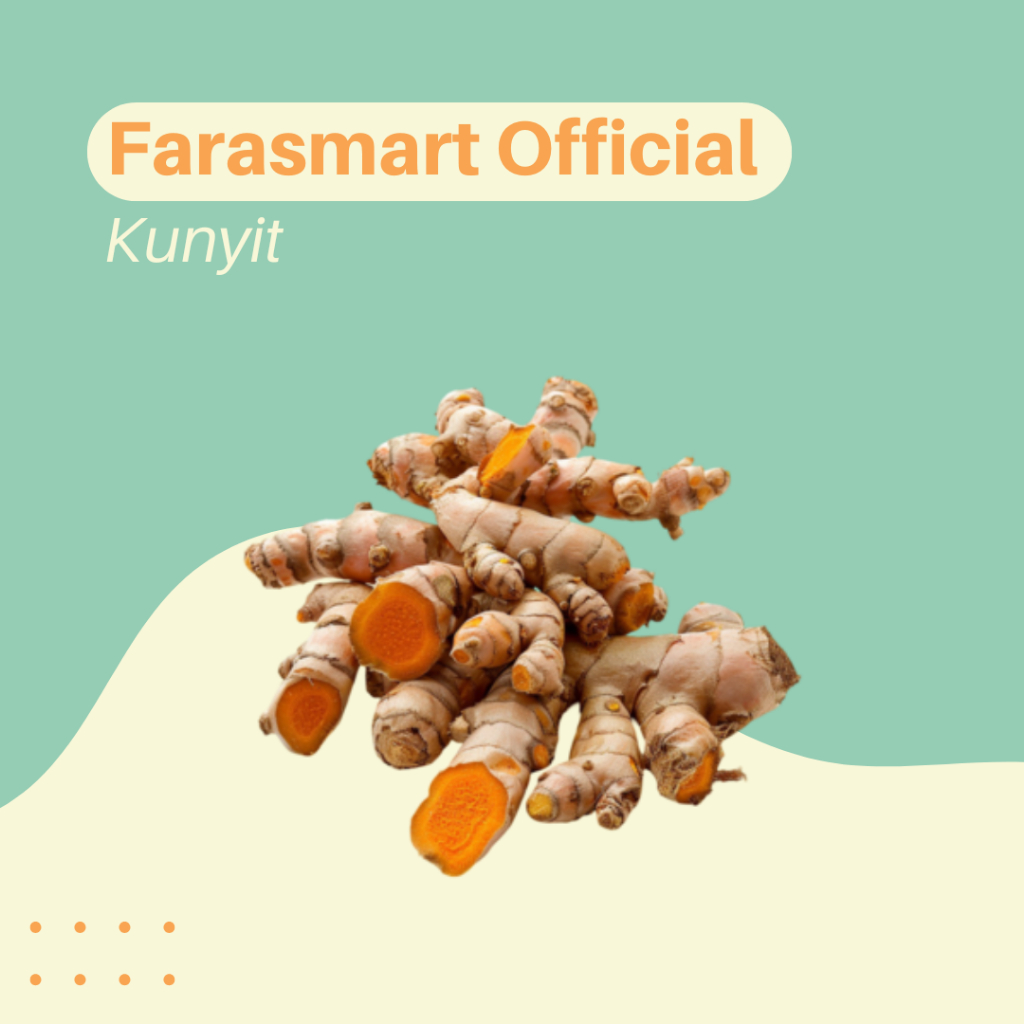 

Kunyit Fresh 500gr / 1kg