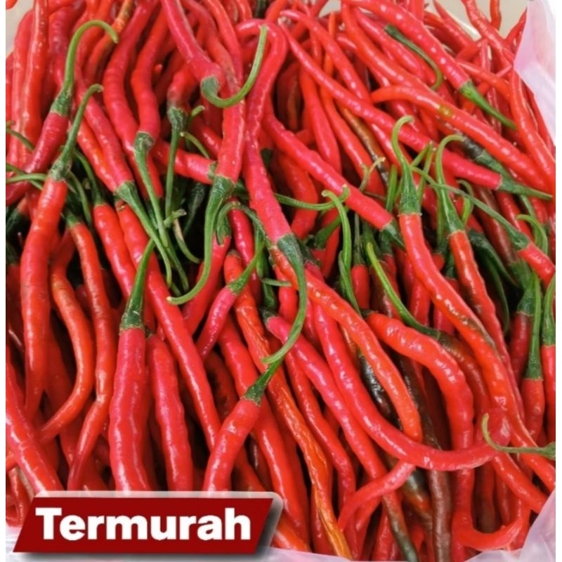 

Cabai Merah Keriting 1000 gr