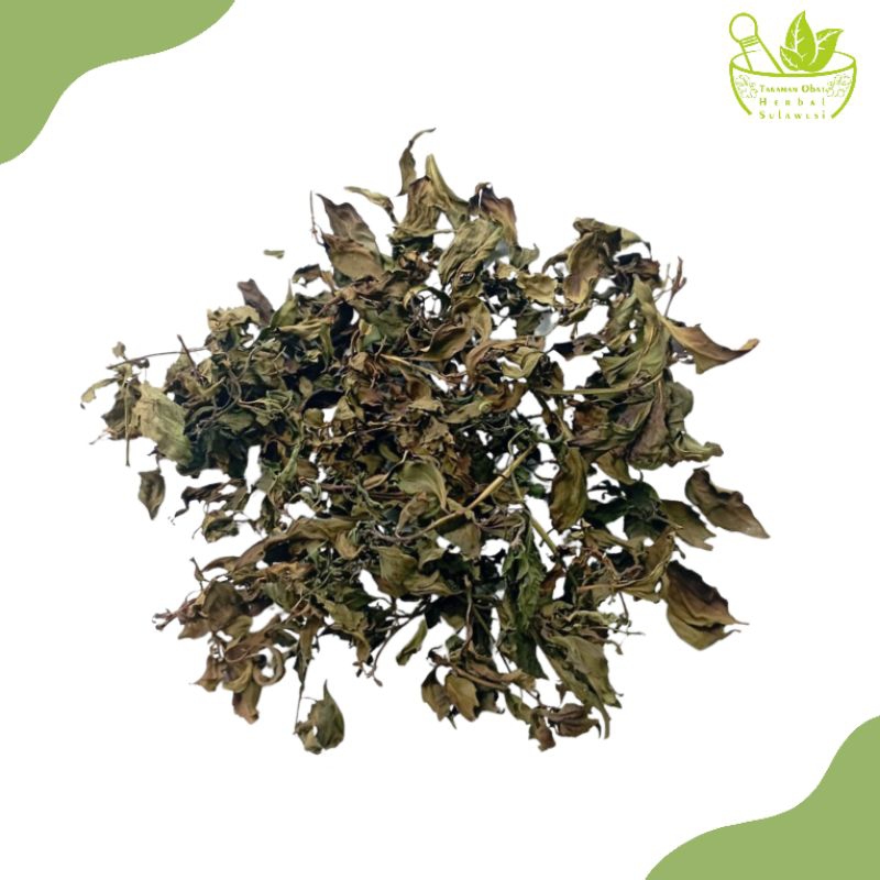 

Daun Kumis Kucing Kering (10 Gram)