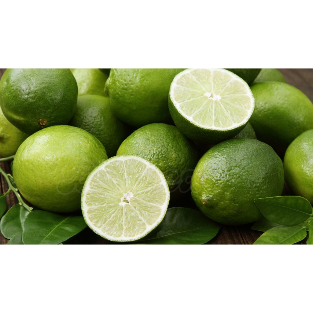 

Jeruk Nipis Segar | Fresh Lime