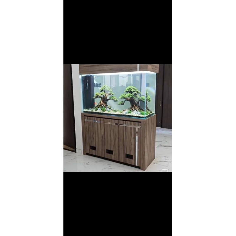 aquascape 60cm fullset